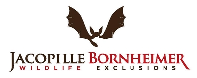 Penfield Wildlife Removal